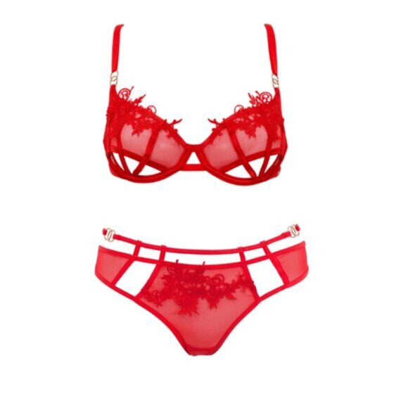 New! Bluebella Priscilla Scarlet Lace Bra Brief Panty Set Size 34B/6 1765 - Picture 1 of 11